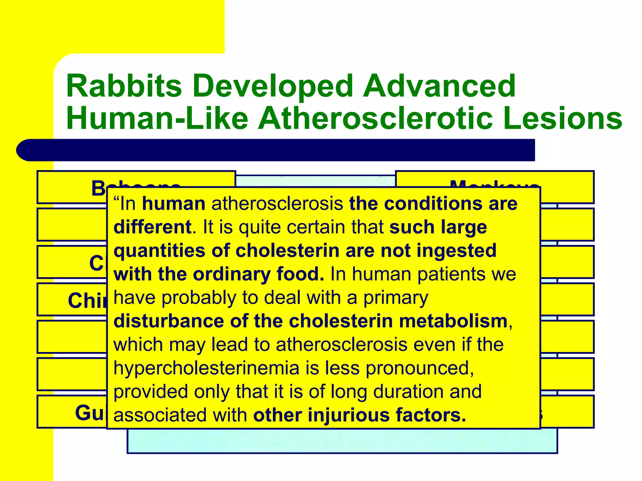 Rabbits Developed Advanced Human-Like Atherosclerotic Lesions Baboons Cats Chickens Chimpanzees Dogs Goats Monkeys Mice Parrots Pigs Pigeons Rats Guinea Pigs Hamsters “ In  human  atherosclerosis  the conditions are different . It is quite certain that  such large quantities of cholesterin are not ingested with the ordinary food.  In human patients we have probably to deal with a primary  disturbance of the cholesterin metabolism , which may lead to atherosclerosis even if the hypercholesterinemia is less pronounced, provided only that it is of long duration and associated with  other injurious factors. 