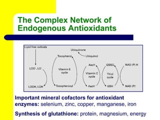 The Complex Network of Endogenous Antioxidants Important mineral cofactors for antioxidant enzymes:  selenium, zinc, coppe...
