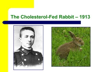 The Cholesterol-Fed Rabbit – 1913 