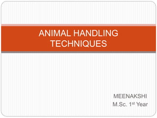 MEENAKSHI
M.Sc. 1st Year
ANIMAL HANDLING
TECHNIQUES
 