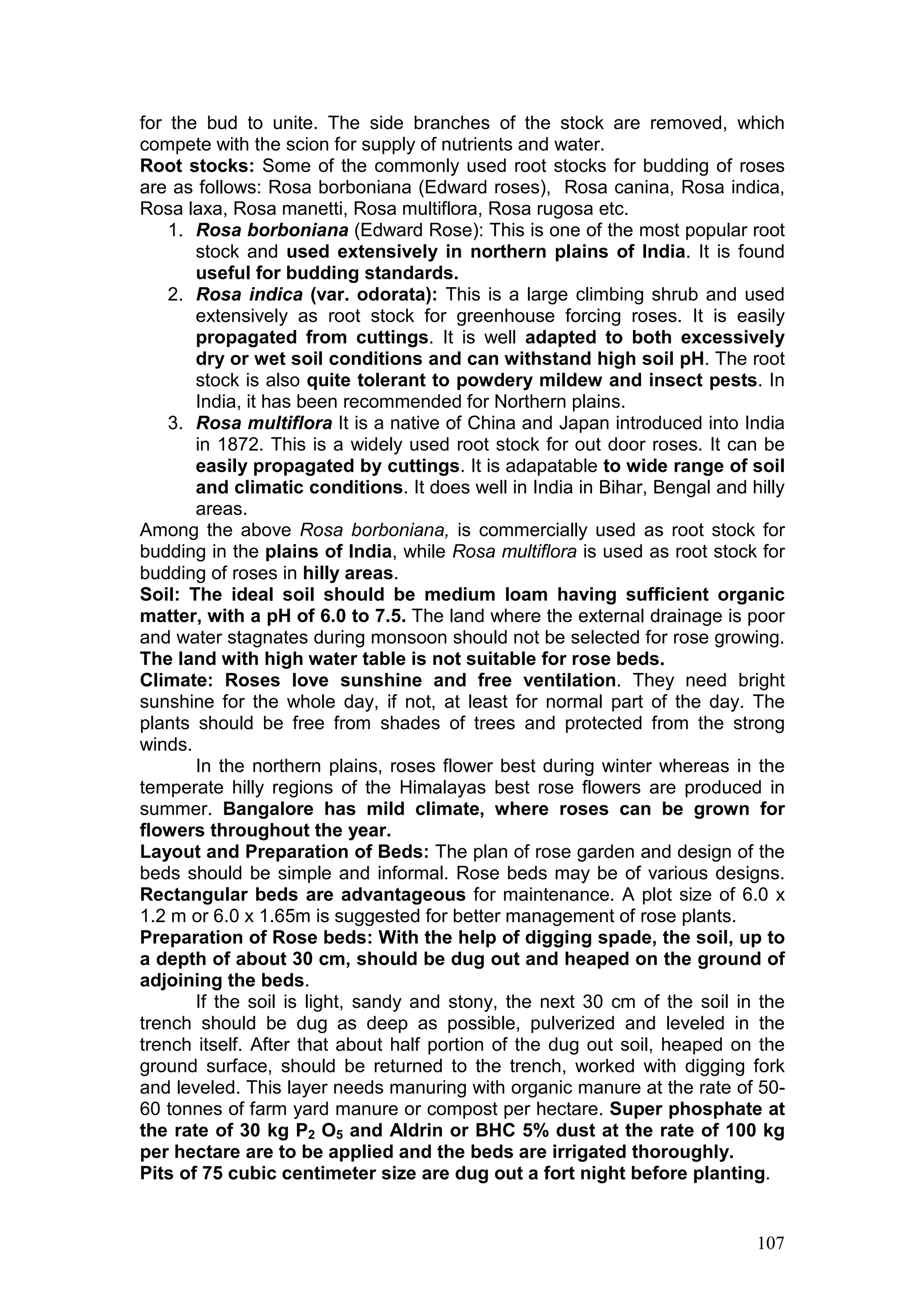 107
for the bud to unite. The side branches of the stock are removed, which
compete with the scion for supply of nutrients and water.
Root stocks: Some of the commonly used root stocks for budding of roses
are as follows: Rosa borboniana (Edward roses), Rosa canina, Rosa indica,
Rosa laxa, Rosa manetti, Rosa multiflora, Rosa rugosa etc.
1. Rosa borboniana (Edward Rose): This is one of the most popular root
stock and used extensively in northern plains of India. It is found
useful for budding standards.
2. Rosa indica (var. odorata): This is a large climbing shrub and used
extensively as root stock for greenhouse forcing roses. It is easily
propagated from cuttings. It is well adapted to both excessively
dry or wet soil conditions and can withstand high soil pH. The root
stock is also quite tolerant to powdery mildew and insect pests. In
India, it has been recommended for Northern plains.
3. Rosa multiflora It is a native of China and Japan introduced into India
in 1872. This is a widely used root stock for out door roses. It can be
easily propagated by cuttings. It is adapatable to wide range of soil
and climatic conditions. It does well in India in Bihar, Bengal and hilly
areas.
Among the above Rosa borboniana, is commercially used as root stock for
budding in the plains of India, while Rosa multiflora is used as root stock for
budding of roses in hilly areas.
Soil: The ideal soil should be medium loam having sufficient organic
matter, with a pH of 6.0 to 7.5. The land where the external drainage is poor
and water stagnates during monsoon should not be selected for rose growing.
The land with high water table is not suitable for rose beds.
Climate: Roses love sunshine and free ventilation. They need bright
sunshine for the whole day, if not, at least for normal part of the day. The
plants should be free from shades of trees and protected from the strong
winds.
In the northern plains, roses flower best during winter whereas in the
temperate hilly regions of the Himalayas best rose flowers are produced in
summer. Bangalore has mild climate, where roses can be grown for
flowers throughout the year.
Layout and Preparation of Beds: The plan of rose garden and design of the
beds should be simple and informal. Rose beds may be of various designs.
Rectangular beds are advantageous for maintenance. A plot size of 6.0 x
1.2 m or 6.0 x 1.65m is suggested for better management of rose plants.
Preparation of Rose beds: With the help of digging spade, the soil, up to
a depth of about 30 cm, should be dug out and heaped on the ground of
adjoining the beds.
If the soil is light, sandy and stony, the next 30 cm of the soil in the
trench should be dug as deep as possible, pulverized and leveled in the
trench itself. After that about half portion of the dug out soil, heaped on the
ground surface, should be returned to the trench, worked with digging fork
and leveled. This layer needs manuring with organic manure at the rate of 50-
60 tonnes of farm yard manure or compost per hectare. Super phosphate at
the rate of 30 kg P2 O5 and Aldrin or BHC 5% dust at the rate of 100 kg
per hectare are to be applied and the beds are irrigated thoroughly.
Pits of 75 cubic centimeter size are dug out a fort night before planting.
 
