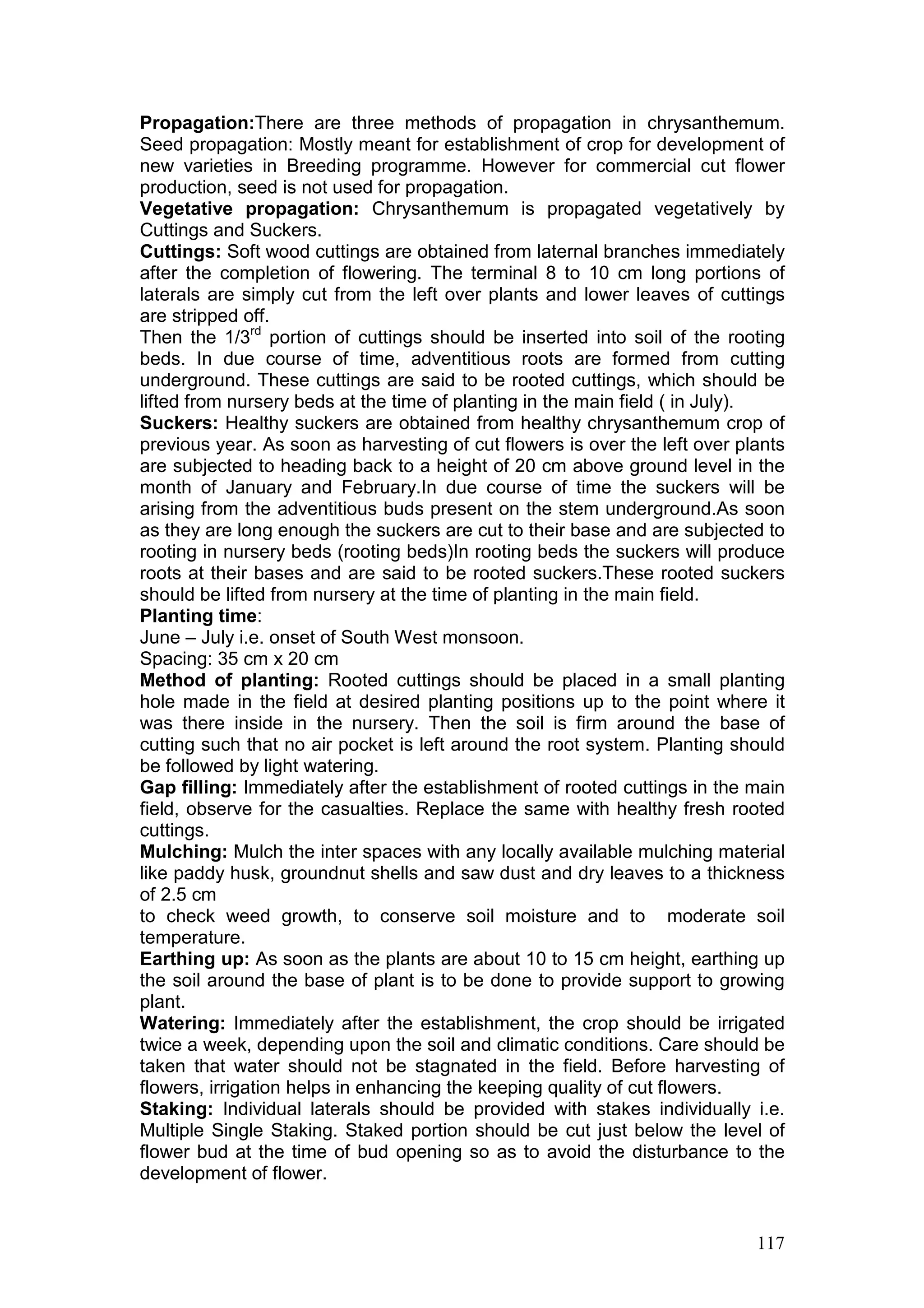 117
Propagation:There are three methods of propagation in chrysanthemum.
Seed propagation: Mostly meant for establishment of crop for development of
new varieties in Breeding programme. However for commercial cut flower
production, seed is not used for propagation.
Vegetative propagation: Chrysanthemum is propagated vegetatively by
Cuttings and Suckers.
Cuttings: Soft wood cuttings are obtained from laternal branches immediately
after the completion of flowering. The terminal 8 to 10 cm long portions of
laterals are simply cut from the left over plants and lower leaves of cuttings
are stripped off.
Then the 1/3rd
portion of cuttings should be inserted into soil of the rooting
beds. In due course of time, adventitious roots are formed from cutting
underground. These cuttings are said to be rooted cuttings, which should be
lifted from nursery beds at the time of planting in the main field ( in July).
Suckers: Healthy suckers are obtained from healthy chrysanthemum crop of
previous year. As soon as harvesting of cut flowers is over the left over plants
are subjected to heading back to a height of 20 cm above ground level in the
month of January and February.In due course of time the suckers will be
arising from the adventitious buds present on the stem underground.As soon
as they are long enough the suckers are cut to their base and are subjected to
rooting in nursery beds (rooting beds)In rooting beds the suckers will produce
roots at their bases and are said to be rooted suckers.These rooted suckers
should be lifted from nursery at the time of planting in the main field.
Planting time:
June – July i.e. onset of South West monsoon.
Spacing: 35 cm x 20 cm
Method of planting: Rooted cuttings should be placed in a small planting
hole made in the field at desired planting positions up to the point where it
was there inside in the nursery. Then the soil is firm around the base of
cutting such that no air pocket is left around the root system. Planting should
be followed by light watering.
Gap filling: Immediately after the establishment of rooted cuttings in the main
field, observe for the casualties. Replace the same with healthy fresh rooted
cuttings.
Mulching: Mulch the inter spaces with any locally available mulching material
like paddy husk, groundnut shells and saw dust and dry leaves to a thickness
of 2.5 cm
to check weed growth, to conserve soil moisture and to moderate soil
temperature.
Earthing up: As soon as the plants are about 10 to 15 cm height, earthing up
the soil around the base of plant is to be done to provide support to growing
plant.
Watering: Immediately after the establishment, the crop should be irrigated
twice a week, depending upon the soil and climatic conditions. Care should be
taken that water should not be stagnated in the field. Before harvesting of
flowers, irrigation helps in enhancing the keeping quality of cut flowers.
Staking: Individual laterals should be provided with stakes individually i.e.
Multiple Single Staking. Staked portion should be cut just below the level of
flower bud at the time of bud opening so as to avoid the disturbance to the
development of flower.
 