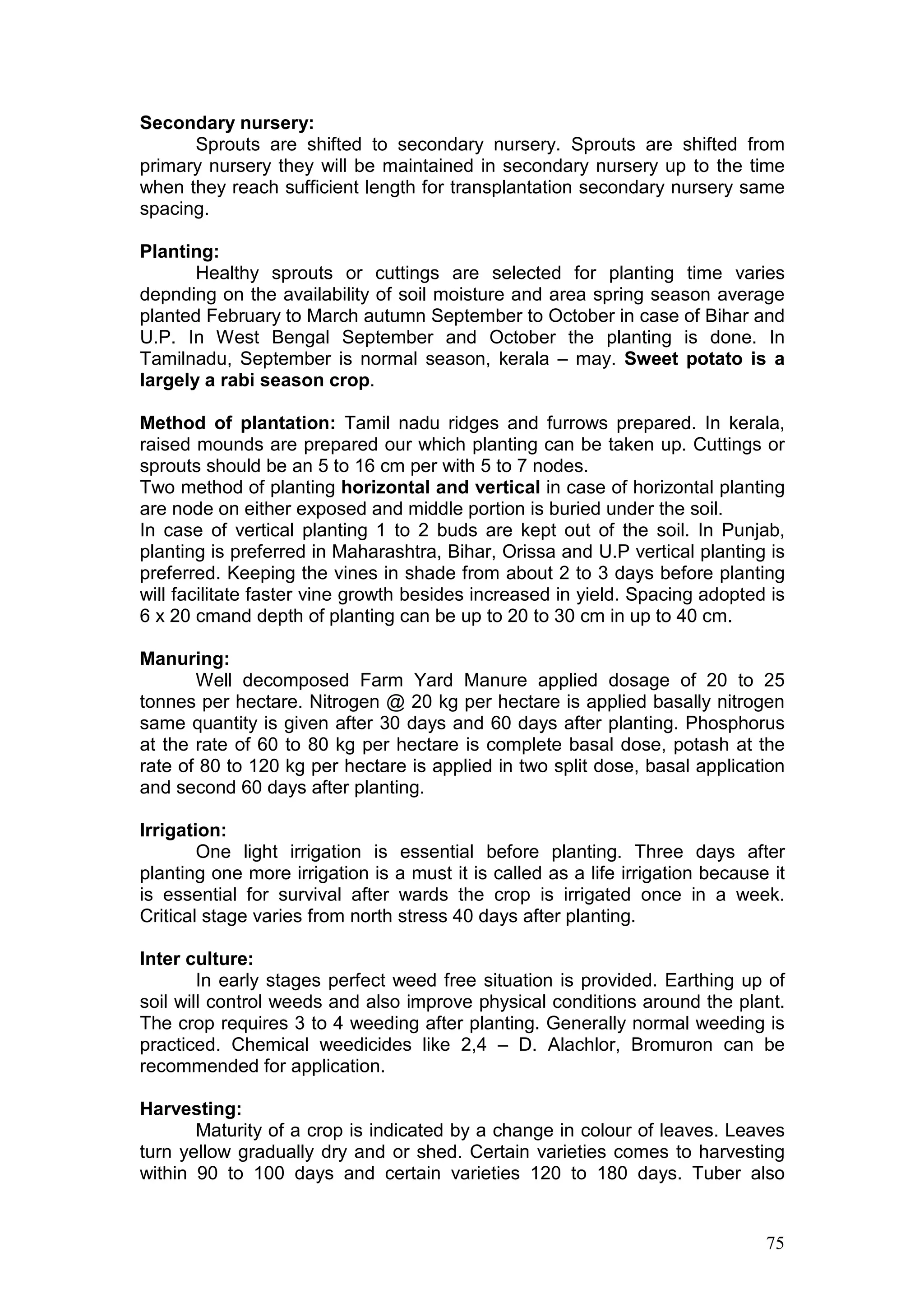 75
Secondary nursery:
Sprouts are shifted to secondary nursery. Sprouts are shifted from
primary nursery they will be maintained in secondary nursery up to the time
when they reach sufficient length for transplantation secondary nursery same
spacing.
Planting:
Healthy sprouts or cuttings are selected for planting time varies
depnding on the availability of soil moisture and area spring season average
planted February to March autumn September to October in case of Bihar and
U.P. In West Bengal September and October the planting is done. In
Tamilnadu, September is normal season, kerala – may. Sweet potato is a
largely a rabi season crop.
Method of plantation: Tamil nadu ridges and furrows prepared. In kerala,
raised mounds are prepared our which planting can be taken up. Cuttings or
sprouts should be an 5 to 16 cm per with 5 to 7 nodes.
Two method of planting horizontal and vertical in case of horizontal planting
are node on either exposed and middle portion is buried under the soil.
In case of vertical planting 1 to 2 buds are kept out of the soil. In Punjab,
planting is preferred in Maharashtra, Bihar, Orissa and U.P vertical planting is
preferred. Keeping the vines in shade from about 2 to 3 days before planting
will facilitate faster vine growth besides increased in yield. Spacing adopted is
6 x 20 cmand depth of planting can be up to 20 to 30 cm in up to 40 cm.
Manuring:
Well decomposed Farm Yard Manure applied dosage of 20 to 25
tonnes per hectare. Nitrogen @ 20 kg per hectare is applied basally nitrogen
same quantity is given after 30 days and 60 days after planting. Phosphorus
at the rate of 60 to 80 kg per hectare is complete basal dose, potash at the
rate of 80 to 120 kg per hectare is applied in two split dose, basal application
and second 60 days after planting.
Irrigation:
One light irrigation is essential before planting. Three days after
planting one more irrigation is a must it is called as a life irrigation because it
is essential for survival after wards the crop is irrigated once in a week.
Critical stage varies from north stress 40 days after planting.
Inter culture:
In early stages perfect weed free situation is provided. Earthing up of
soil will control weeds and also improve physical conditions around the plant.
The crop requires 3 to 4 weeding after planting. Generally normal weeding is
practiced. Chemical weedicides like 2,4 – D. Alachlor, Bromuron can be
recommended for application.
Harvesting:
Maturity of a crop is indicated by a change in colour of leaves. Leaves
turn yellow gradually dry and or shed. Certain varieties comes to harvesting
within 90 to 100 days and certain varieties 120 to 180 days. Tuber also
 