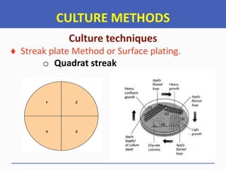 CULTURE METHODS
Culture techniques
 Streak plate Method or Surface plating.
o Quadrat streak
 