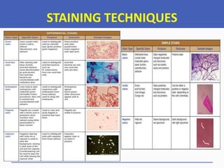 STAINING TECHNIQUES
 