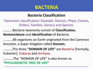 Taxonomy Domain Examples Basic Microbiology Notes for Diploma Students | PDF