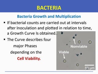Basic Microbiology Notes for Diploma Students | PDF