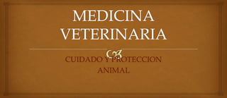 CUIDADO Y PROTECCION
ANIMAL
 