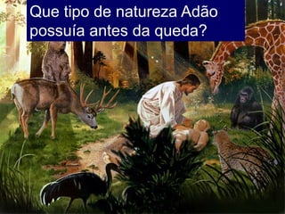 Que tipo de natureza Adão
possuía antes da queda?
 