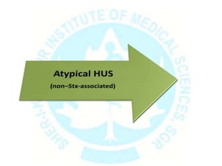 Atypical (non–Stx-associated) HUS
 