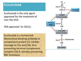 ECULIZUMAB
Eculizumab is the only agent
approved for the treatment of
non–Stx-HUS
FDA approved (in 2011);
Eculizumab is a humanized
Monoclonal blocking antibody to
complement protein C5; inhibits
cleavage to C5a and C5b, thus
preventing terminal complement
complex C5b-9, thereby preventing
RBC hemolysis.
 