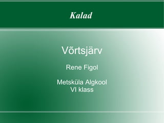 Võrtsjärv Rene Figol Metsküla Algkool VI klass Kalad  