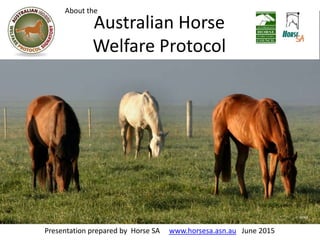 Australian Horse
Welfare Protocol
Presentation prepared by Horse SA www.horsesa.asn.au June 2015
iStock
About the
 