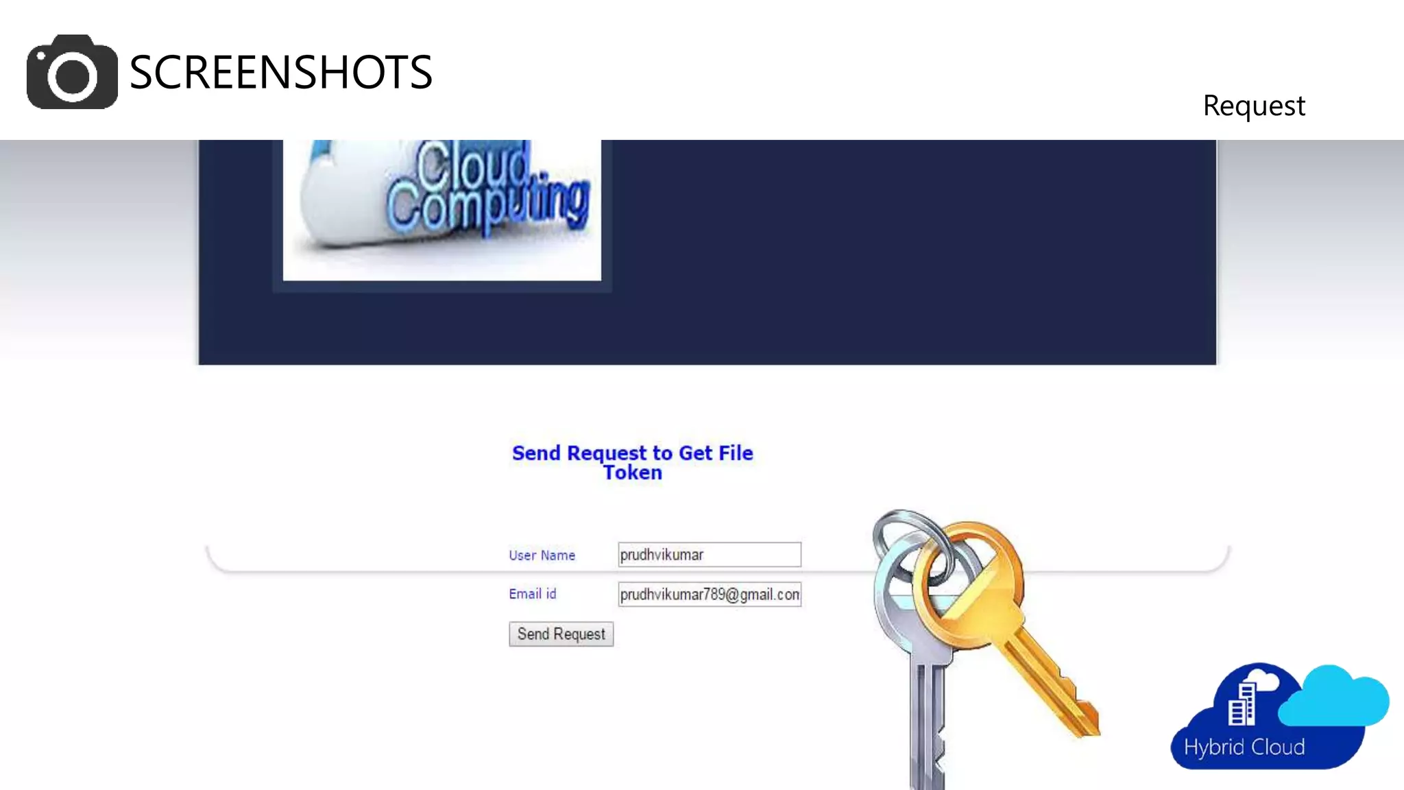 SCREENSHOTS
Token Request page
 