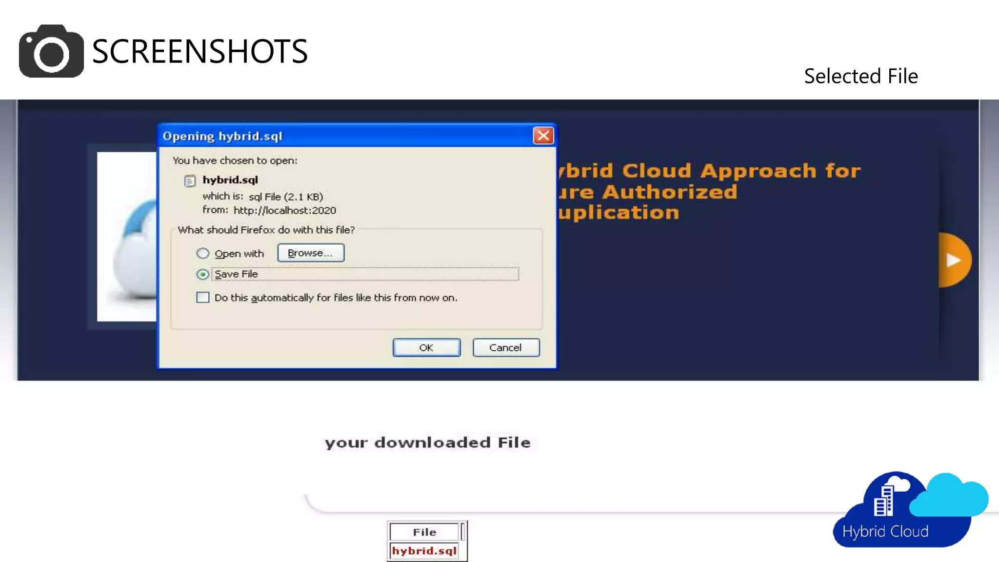 SCREENSHOTS
Selected File
 
