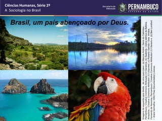 Ciências Humanas, Série 2º 
A Sociologia no Brasil 
Brasil, um país abençoado por Deus. 
Imagens da esquerda para direita , de cima para baixo: (a) Marcos André / Serra do Catimbau , 
Pernambuco / Creative Commons Atribuição 2.0 Genérica, (b) Seabirds / Usina elétrica de Balbina, 
Amazônia / Creative Commons Attribution 3.0 Unported, (c) Roberto Garrido / Dois Irmãos, 
Fernando de Noronha, Pernambuco / Creative Commons Attribution 2.0 Generic e (d) Ben Lunsford 
/ Arara Vermelha / GNU Free Documentation License. 
 