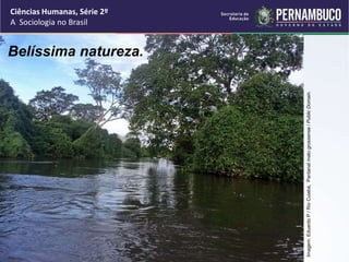 Ciências Humanas, Série 2º 
A Sociologia no Brasil 
Belíssima natureza. 
Imagem: Eduardo P / Rio Cuiabá, Pantanal mato grossense / Public Domain. 
 