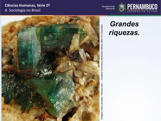 Ciências Humanas, Série 2º 
A Sociologia no Brasil 
Imagem: Rob Lavinsky / iRocks.com / Creative Commons Attribution-Share Alike 3.0 Unported. 
Grandes 
riquezas. 
 