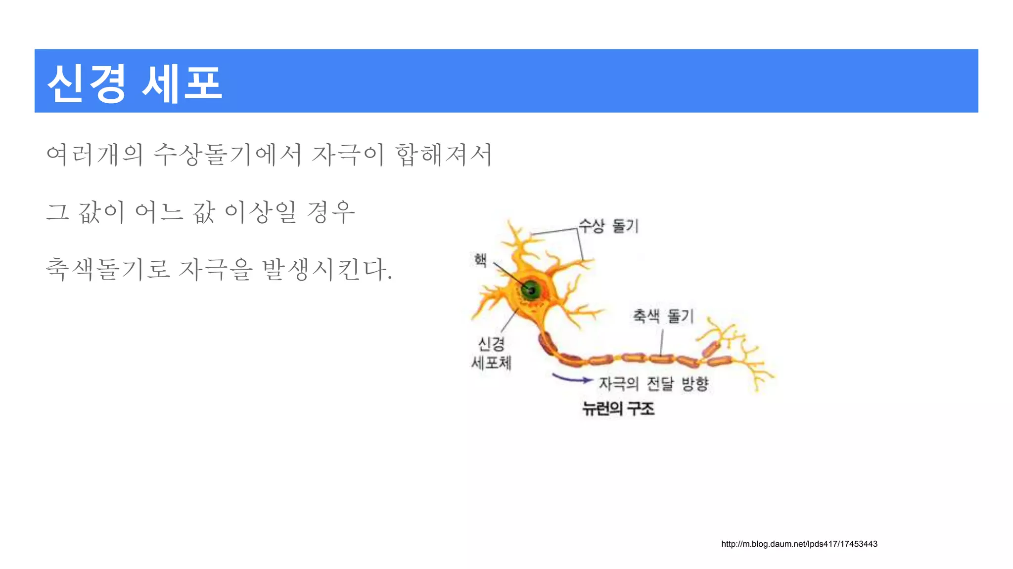 신경 세포
여러개의 수상돌기에서 자극이 합해져서
그 값이 어느 값 이상일 경우
축색돌기로 자극을 발생시킨다.
http://m.blog.daum.net/lpds417/17453443
 