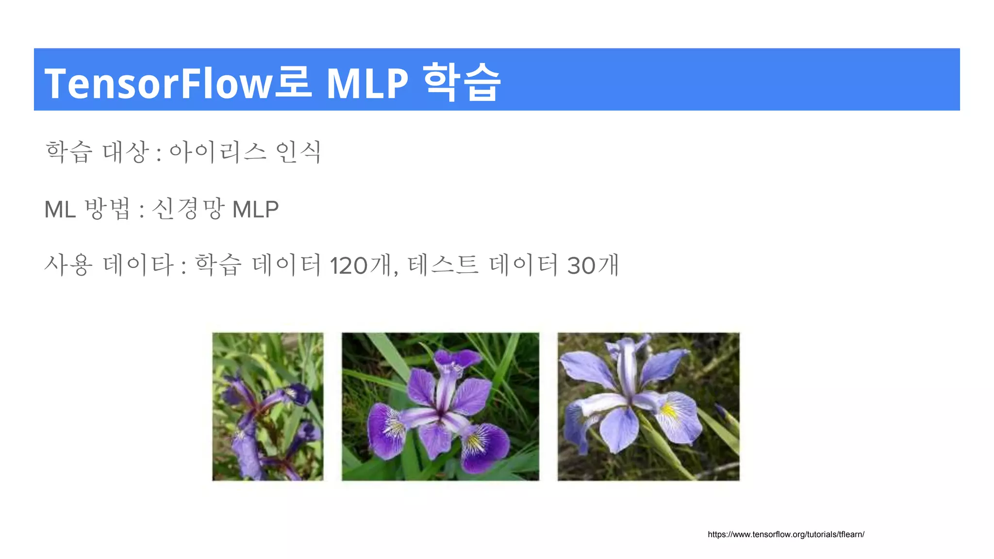 TensorFlow로 MLP 학습
학습 대상 : 아이리스 인식
ML 방법 : 신경망 MLP
사용 데이타 : 학습 데이터 120개, 테스트 데이터 30개
https://www.tensorflow.org/tutorials/tflearn/
 