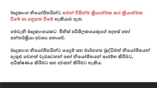 මෘදුකාංග නියෙෝජිතයින්ට තමන් විසින්ම ක්‍රිොත්මක කර ක්‍රිොත්මක
වීයේ හා අනුගත වීයේ හැකිොව ඇත.
යමවැනි මෘදුකාංගෙකට මිනිස් පරිශීෙකයෙකුයේ අදහස් යහෝ
අන්තර්ක්‍රිො අවශ්‍ය යනායේ.
මෘදුකාංග නියෙෝජිතයින්ට යෙදුේ සහ මාර්ගගත බුද්ධිමත් නියෙෝජිතෙන්
ඇතුළු යවනත් වැඩසටහන් යහෝ නියෙෝජිතෙන් ආරේභ කිරීමට,
අීක්ෂණෙ කිරීමට සහ අවසන් කිරීමට හැකිෙ.
 