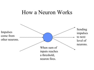 How a Neuron Works
Impulses
come from
other neurons.
When sum of
inputs reaches
a threshold,
neuron fires.
Sending
impulse...
