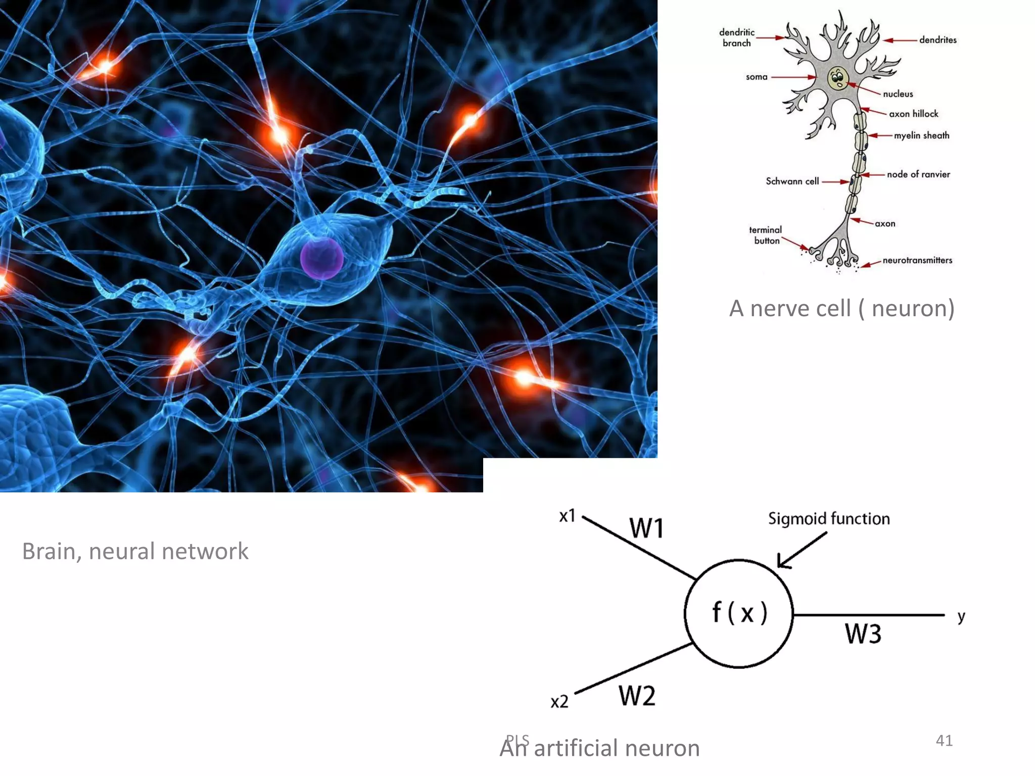An artificial neuron
A nerve cell ( neuron)
Brain, neural network
PLS 41
 