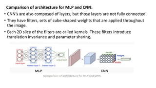 Comparison of architecture for MLP and CNN:
• CNN’s are also composed of layers, but those layers are not fully connected.
• They have filters, sets of cube-shaped weights that are applied throughout
the image.
• Each 2D slice of the filters are called kernels. These filters introduce
translation invariance and parameter sharing.
 