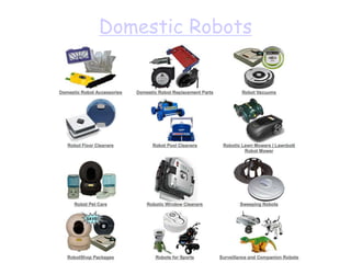 Domestic Robots
 