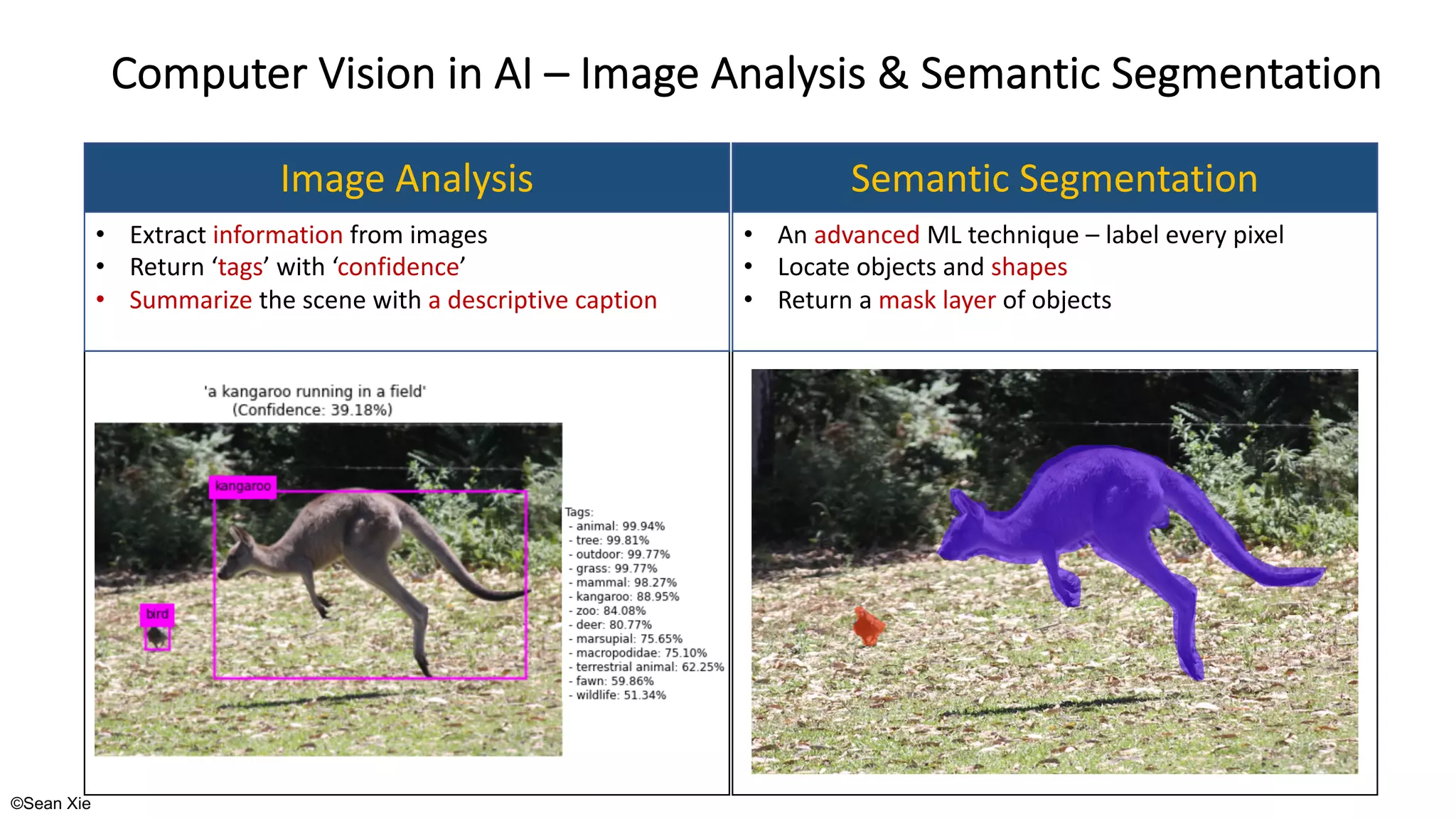©Sean Xie
Computer Vision in AI – Image Analysis & Semantic Segmentation
Image Analysis Semantic Segmentation
• Extract information from images
• Return ‘tags’ with ‘confidence’
• Summarize the scene with a descriptive caption
• An advanced ML technique – label every pixel
• Locate objects and shapes
• Return a mask layer of objects
 