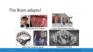 The Brain adapts!
[BrainPort; Welsh & Blasch, 1997; Nagel et al., 2005; Constantine-Paton & Law, 2009]
Seeing with your Tongue Human Echolocation (Sonar)
Haptic belt: Direction Sense Implanting a 3rd Eye
January 5, 2017 27
 