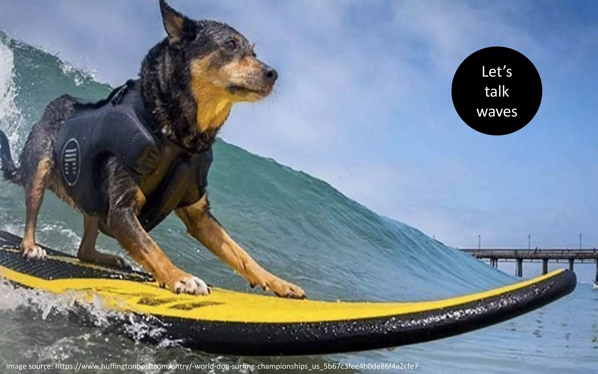 Let’s
talk
waves
Image source: https://www.huffingtonpost.com/entry/-world-dog-surfing-championships_us_5b67c3fee4b0de86f4a2cfe7
 