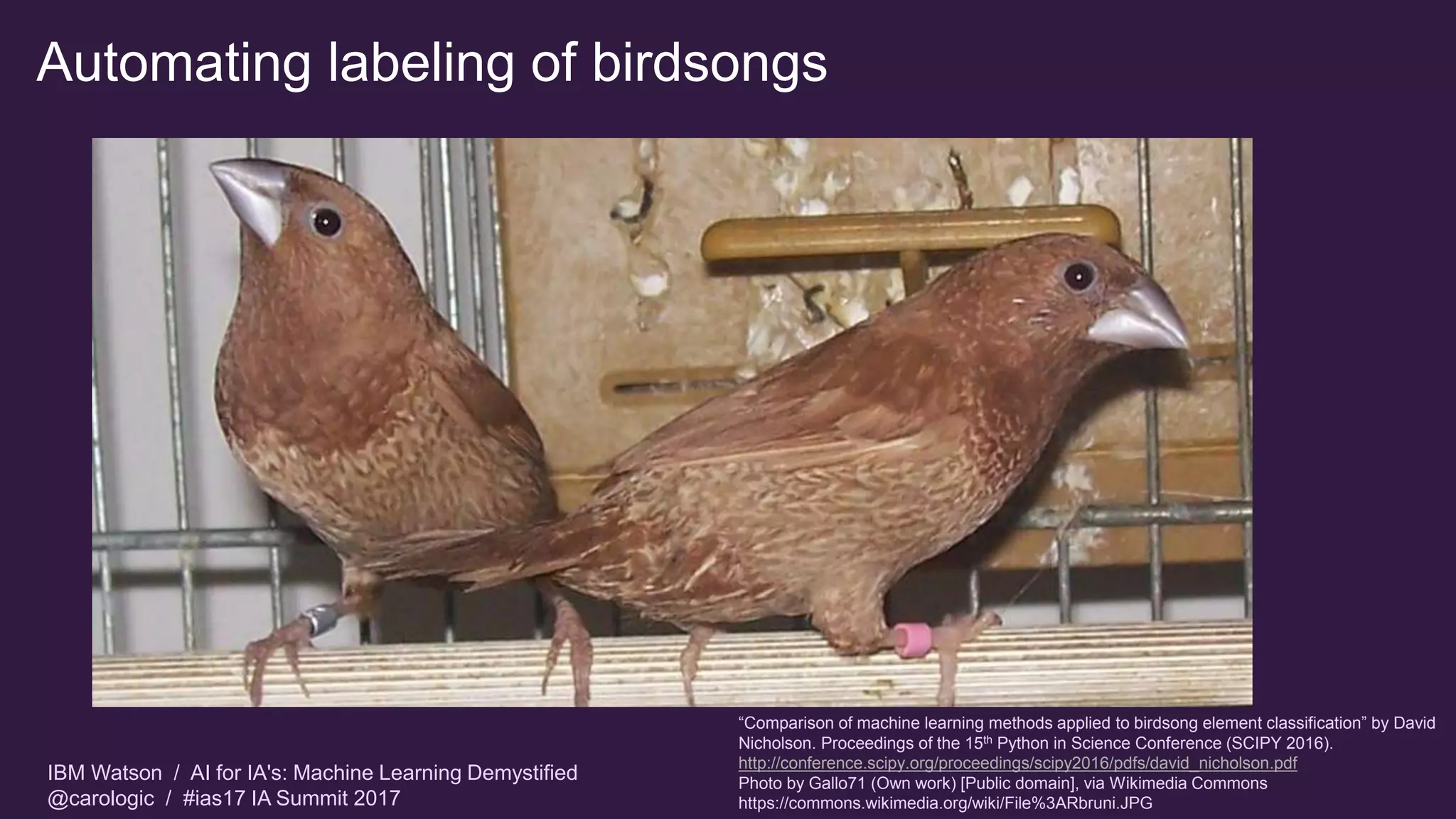 IBM Watson / AI for IA's: Machine Learning Demystified
@carologic / #ias17 IA Summit 2017
Automating labeling of birdsongs
“Comparison of machine learning methods applied to birdsong element classification” by David
Nicholson. Proceedings of the 15th Python in Science Conference (SCIPY 2016).
http://conference.scipy.org/proceedings/scipy2016/pdfs/david_nicholson.pdf
Photo by Gallo71 (Own work) [Public domain], via Wikimedia Commons
https://commons.wikimedia.org/wiki/File%3ARbruni.JPG
 