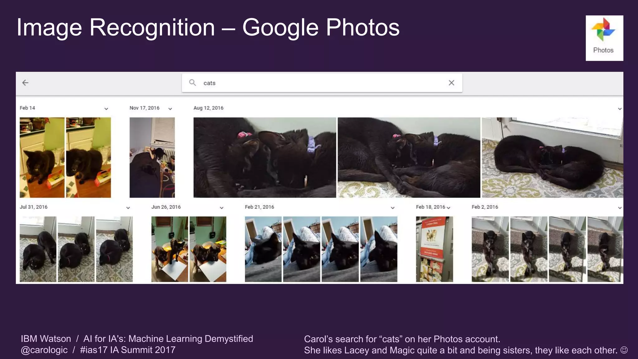 IBM Watson / AI for IA's: Machine Learning Demystified
@carologic / #ias17 IA Summit 2017
Image Recognition – Google Photos
Carol’s search for “cats” on her Photos account.
She likes Lacey and Magic quite a bit and being sisters, they like each other. 
 