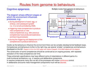 Routes from genome to behaviours
Cognitive epigenesis
The diagram shows different stages at
which the environment inﬂuences
processes, e.g.:
• during development of seed, egg, or
embryo, and subsequent growth
(i.e. it is not all controlled by DNA)
• triggering meta-competences to produce
new competences or new
meta-competences (e.g. after previous
competences have produced exploratory
and learning processes)
• during the triggering and deployment of the
competences to produce behaviours
Insofar as the behaviours inﬂuence the environment there can be complex developmental feedback loops.
Competences and behaviours further to the right may use several ‘simpler’ competences and behaviours
developed on the left. Diagram is from the IJUC paper with Jackie Chappell. Chris Miall helped with the diagram.
The construction of some competences should be construed as an ongoing process, with repeated
activation of the meta-competence over time.
These schematic speciﬁcations may have different sorts of instantiations in different parts of a
multi-functional architecture, e.g. in reactive and deliberative components.
In reactive components many (but not all) of the processes will involve continuous control.
In deliberative and some meta-management components much will be discrete.
Ada-Comp GLs Slide 67 Last revised: January 25, 2016
 