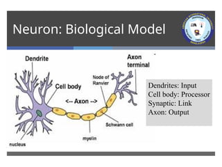 AI-Lecture-11[Neural Network] updated.pptx