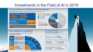 Investments in the Field of AI in 2016
 