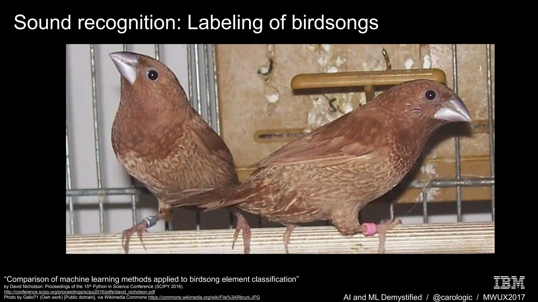 AI and ML Demystified / @carologic / MWUX2017
Sound recognition: Labeling of birdsongs
“Comparison of machine learning methods applied to birdsong element classification”
by David Nicholson. Proceedings of the 15th Python in Science Conference (SCIPY 2016).
http://conference.scipy.org/proceedings/scipy2016/pdfs/david_nicholson.pdf
Photo by Gallo71 (Own work) [Public domain], via Wikimedia Commons https://commons.wikimedia.org/wiki/File%3ARbruni.JPG
 