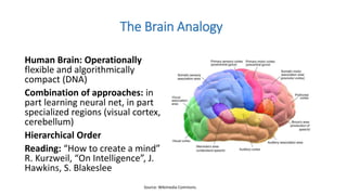 Human Brain: Operationally
flexible and algorithmically
compact (DNA)
Combination of approaches: in
part learning neural net, in part
specialized regions (visual cortex,
cerebellum)
Hierarchical Order
Reading: “How to create a mind”
R. Kurzweil, “On Intelligence”, J.
Hawkins, S. Blakeslee
The Brain Analogy
Source: Wikimedia Commons.
 