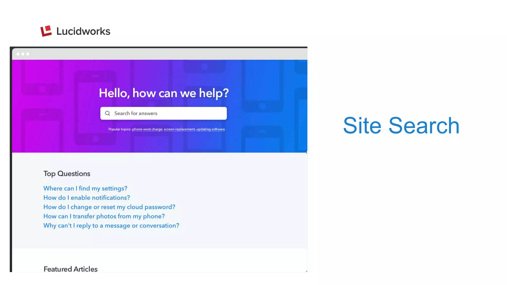 Site Search
 