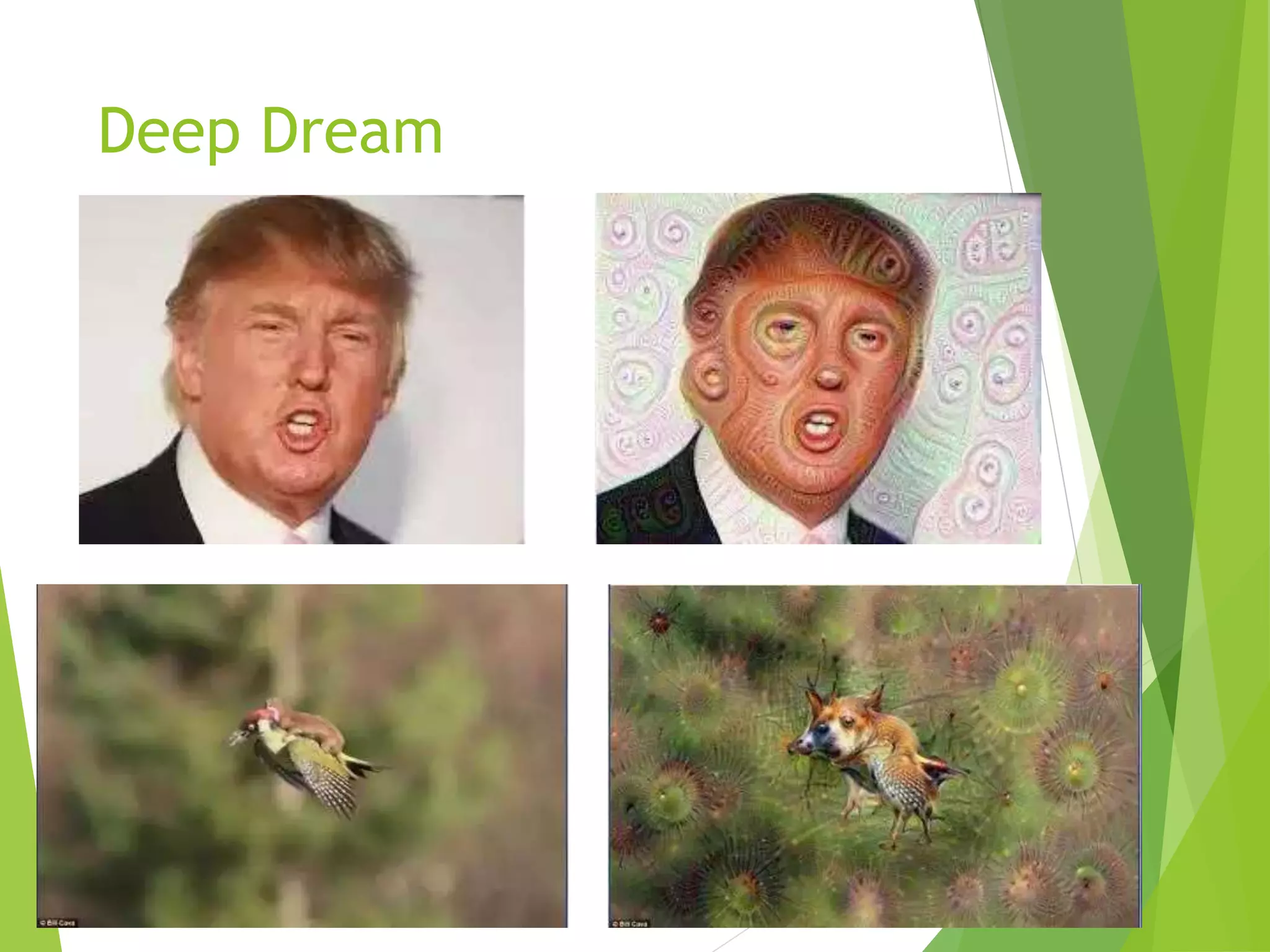 Deep Dream
 