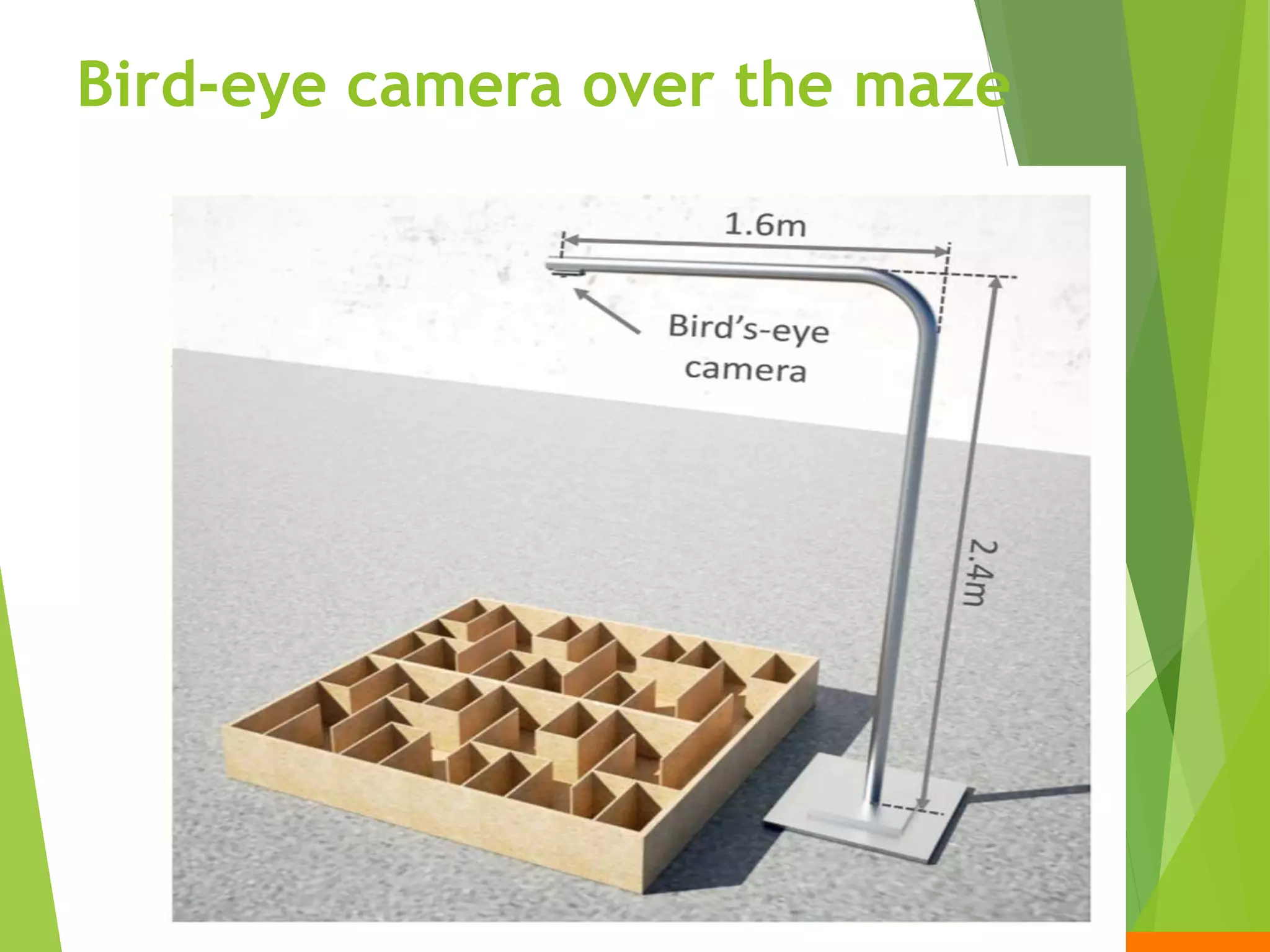 Bird-eye camera over the maze
 