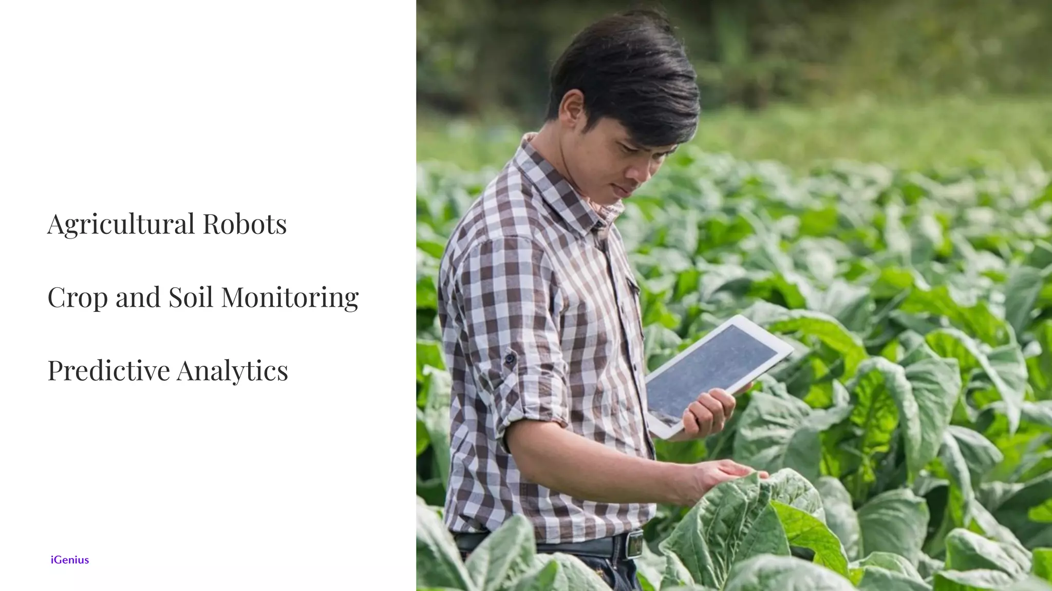 Agricultural Robots
Crop and Soil Monitoring
Predictive Analytics
 