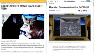 CAT FACES, 12 people, news articles…
 