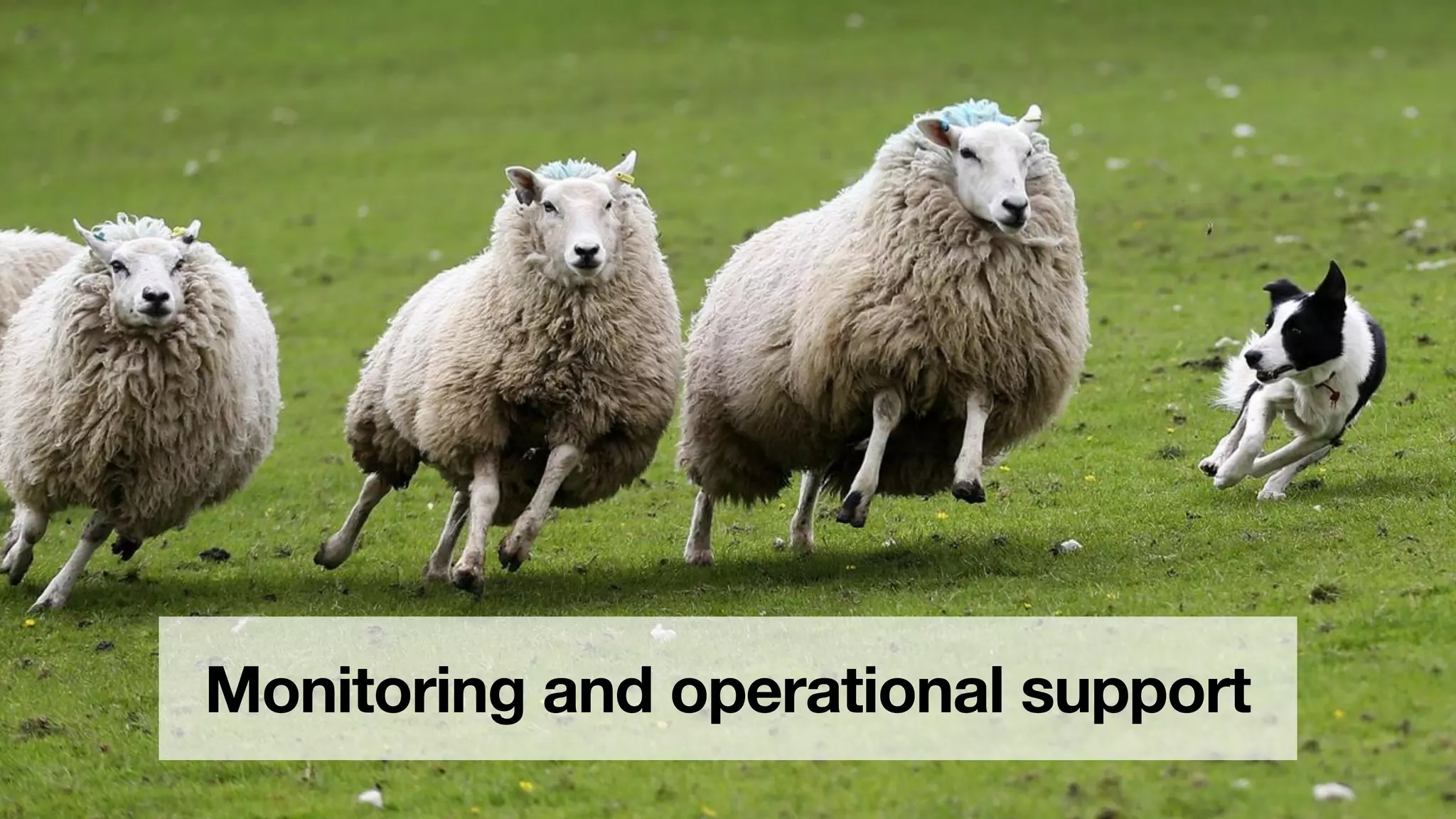 Monitoring and operational support
 