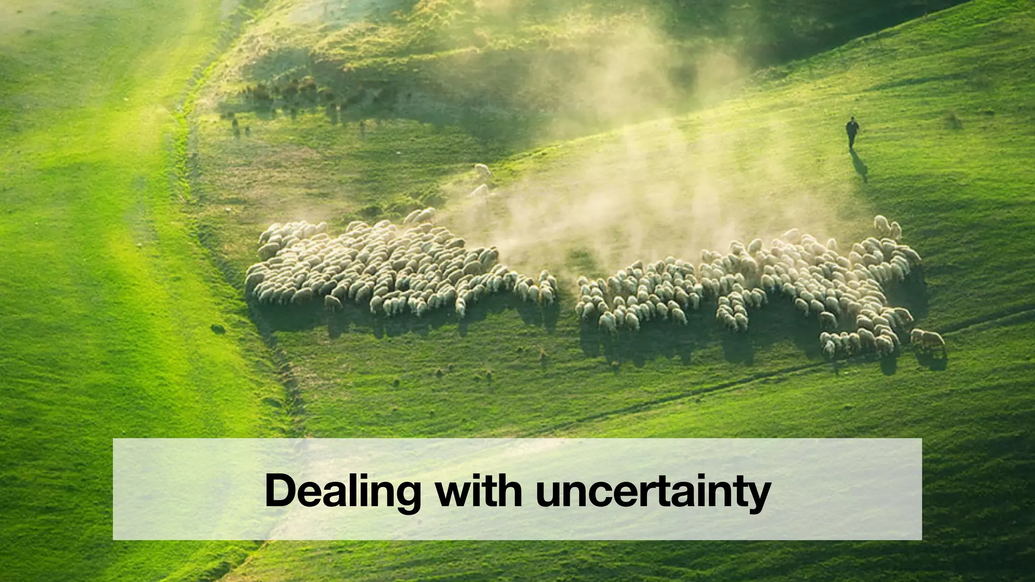 Dealing with uncertainty
 