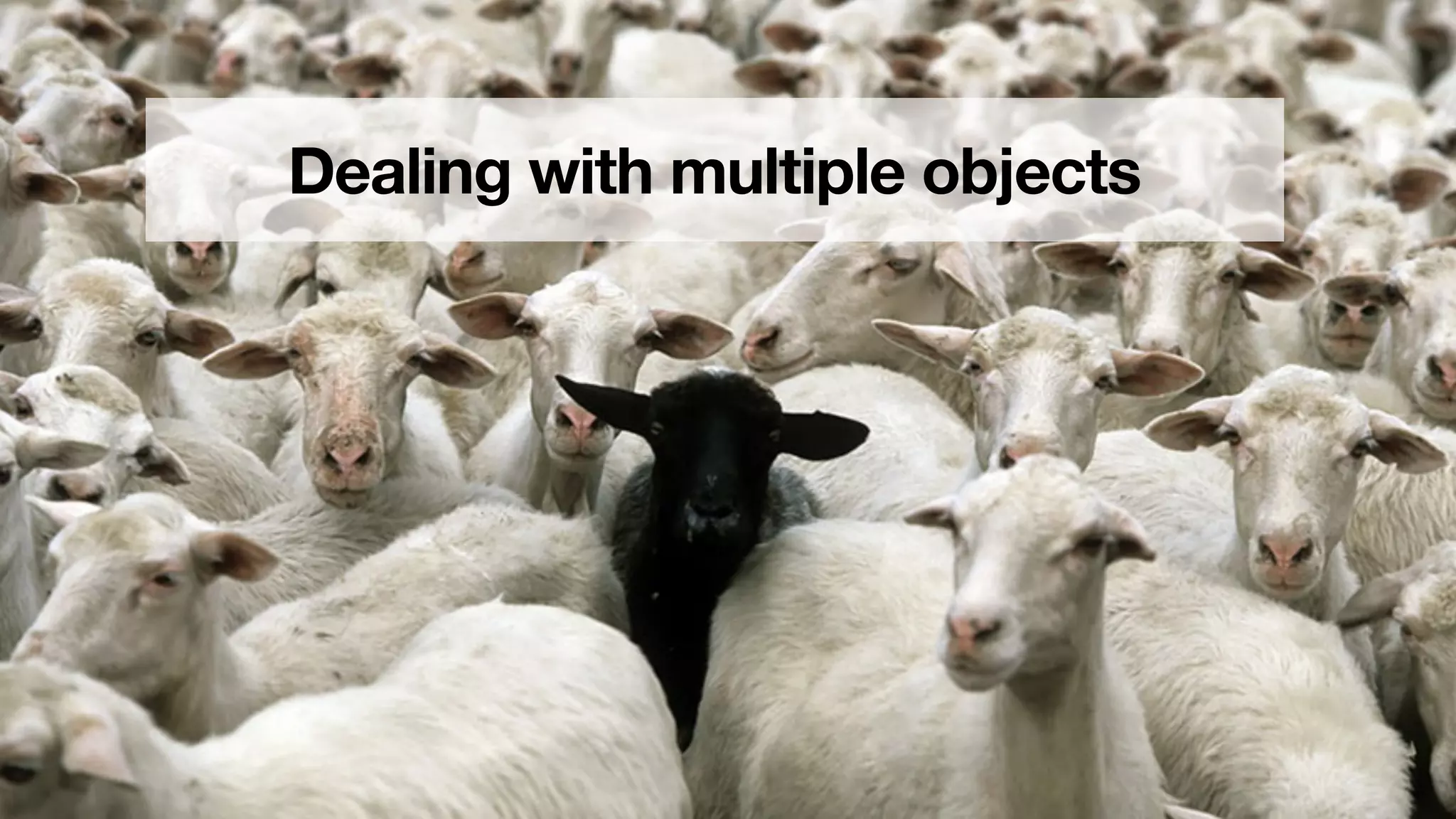 Dealing with multiple objects
 