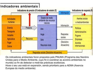 Indicadores ambientaisIndicadores ambientais
Os indicadores ambientais foron propostos polo PNUMA (Programa das Nacións
Unidas para o Medio Ambiente, cuyo fin é coordinar as accións ambientais no
mundo) co fin de detectar e medi-las prácticas ecolóxicas.
Hoxe o seu uso está en expansión, sendo prioritario para a AEMA (Axencia
Europea do medio ambiente)
 