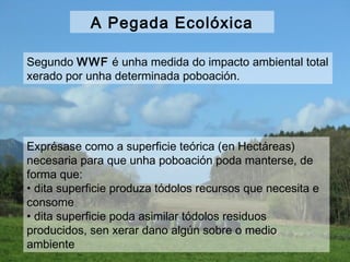 Segundo WWF é unha medida do impacto ambiental total
xerado por unha determinada poboación.
Exprésase como a superficie teórica (en Hectáreas)
necesaria para que unha poboación poda manterse, de
forma que:
• dita superficie produza tódolos recursos que necesita e
consome
• dita superficie poda asimilar tódolos residuos
producidos, sen xerar dano algún sobre o medio
ambiente
A Pegada Ecolóxica
 