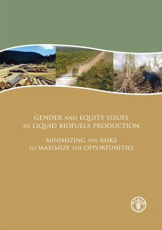 gender and equity issues
in liquid biofuels production

     minimizing the risks
 to maximize the opportunities
 